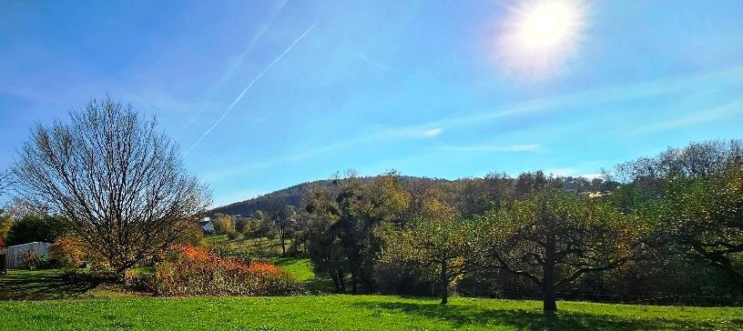 Blick auf das Grundstück
