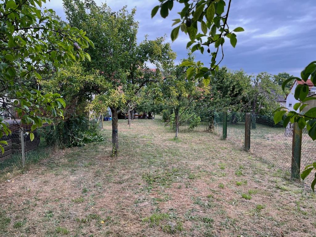 hinterer Gartenteil
